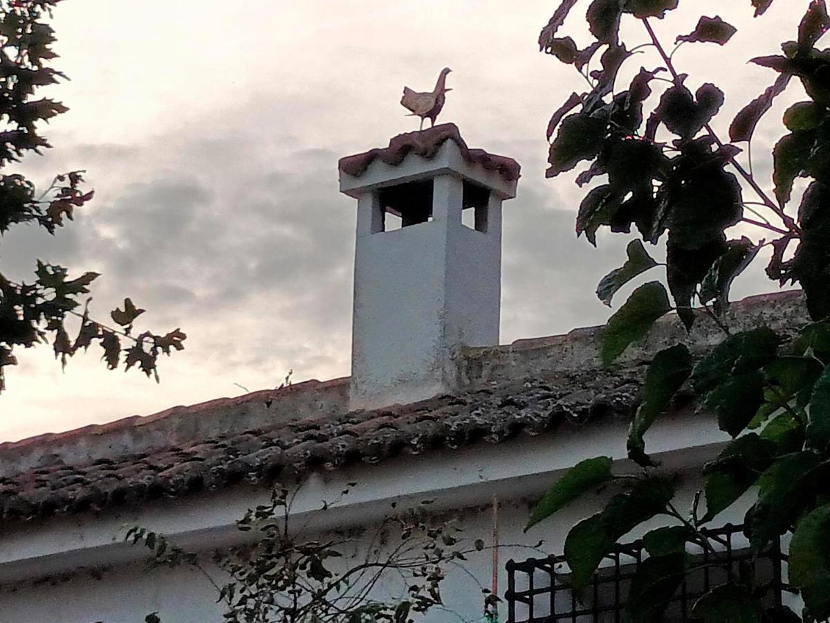 Appartamento Cigarral De La Peraleda Toledo Esterno foto